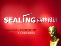 北京西林包裝設計自適應網站定制開發