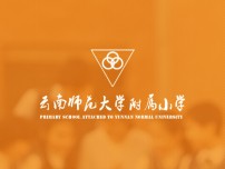 云南師大附屬小學網站定制設計開發建設項目